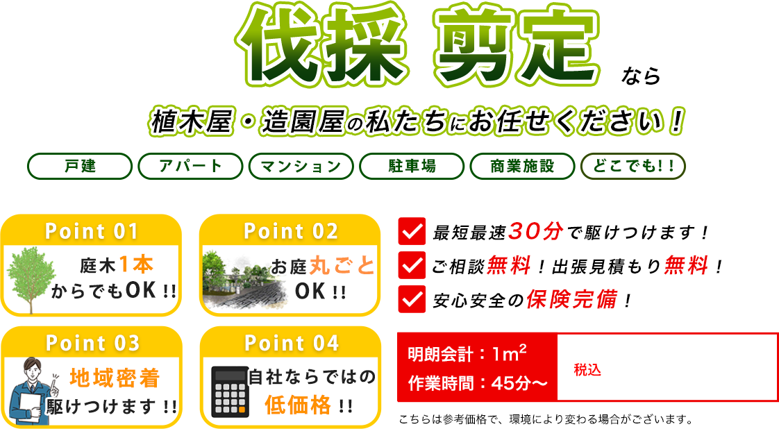 伐採 剪定なら植木屋・造園屋の伐採レスキュー熊本にお任せください！　最短最速30分で駆けつけます！　ご相談無料！出張見積もり無料！　安心安全の保険完備！